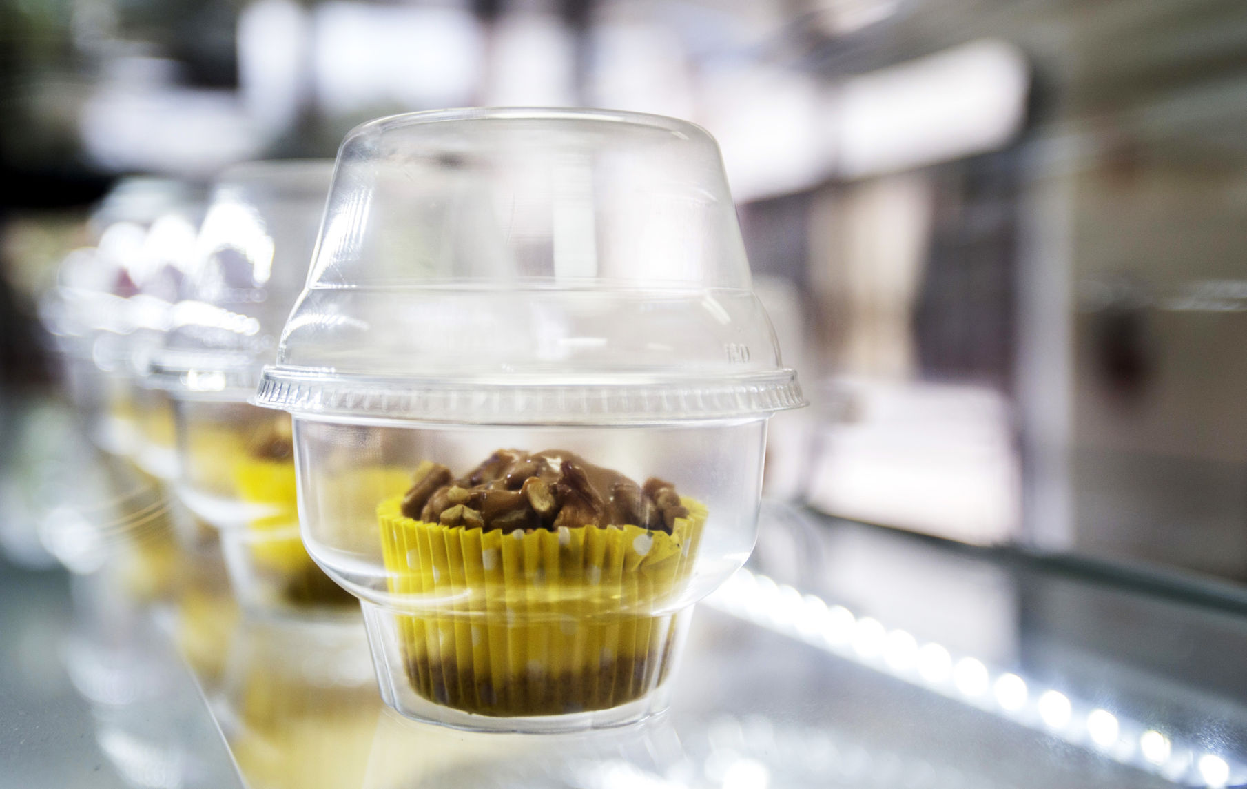 Turtle cupcake
